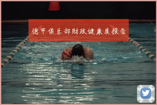 德甲俱乐部财政健康度报告
