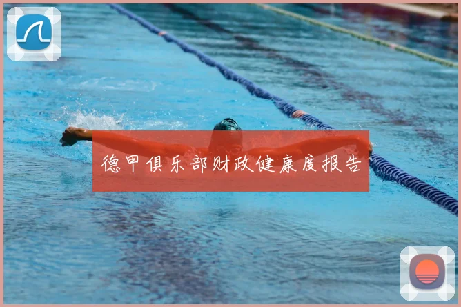 德甲俱乐部财政健康度报告